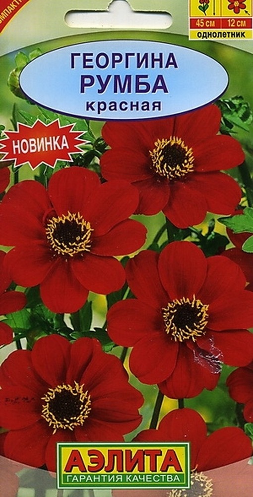 Георгина Румба красная